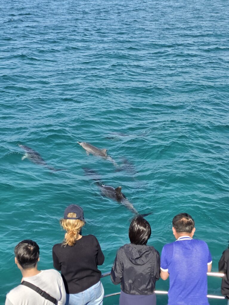 Image #2 from Mia